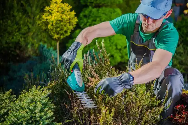 landscaping services Macedonia